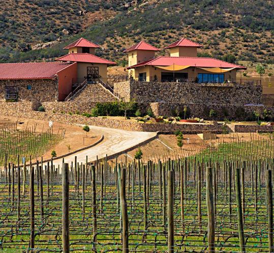 viñedo-lasnubes-valledeguadalupe